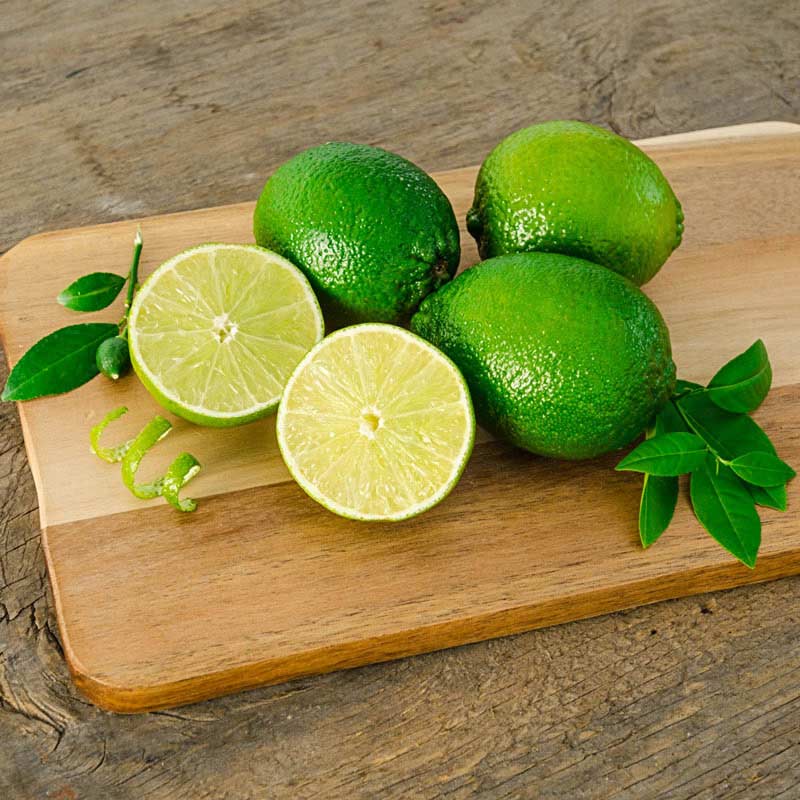 Buy Key Lime Trees for Sale