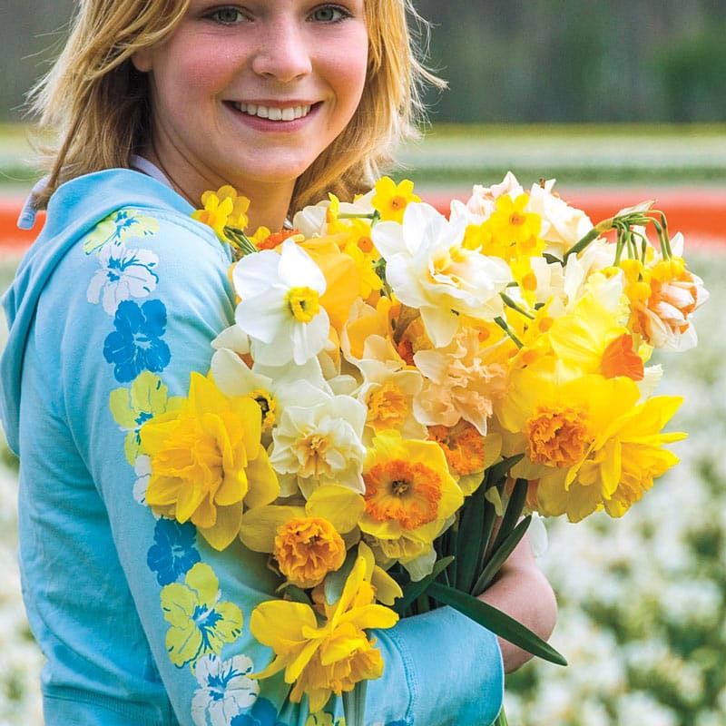 Fragrant Daffodil Mix - Daffodil Bulbs for Sale