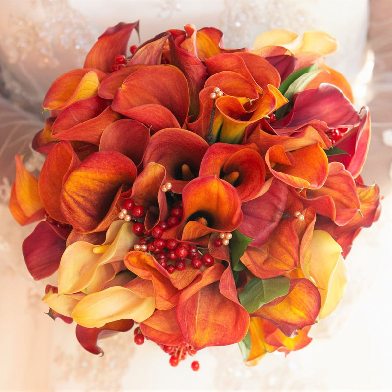 Calla Lily Burning Embers Collection