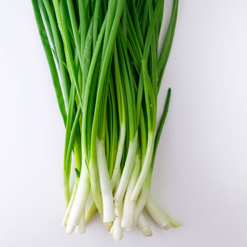 Onions - Chives