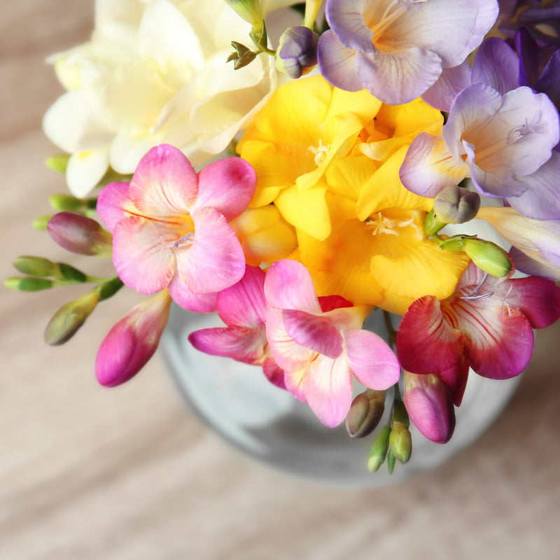 Freesia Cottage Garden Collection