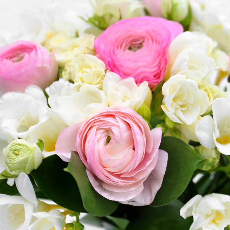 Freesias and Ranunculus 'Pastel' Blend